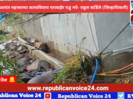 नागरिकांनी अत्यंत महत्त्वाच्या कामाशिवाय घराबाहेर पडू नये जिल्हाधिकारी राहुल कर्डिले यांचे आव्हान